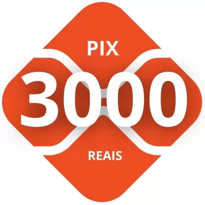 Leilão de PIX de 3000 reais